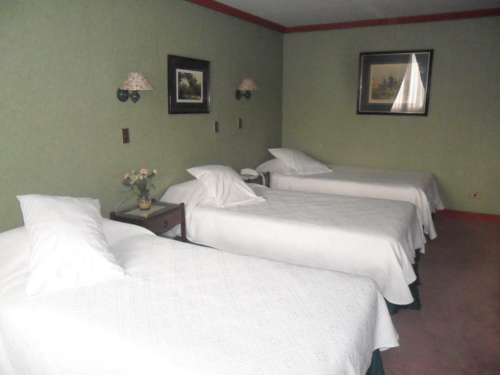 Hotel Isla Rey Jorge 푼타아레나스 외부 사진